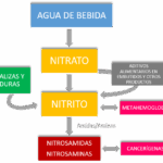 Diferencia entre nitrógeno y nitrato