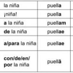 Diferencia entre nominativo y acusativo