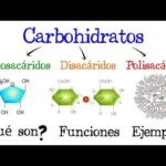 Diferencia entre oligosacáridos y polisacáridos