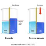 Diferencia entre ósmosis y ósmosis inversa