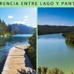 Diferencia entre pantano y ciénaga