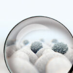 Diferencia entre partículas viables y no viables