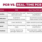 Diferencia entre PCR y clonación