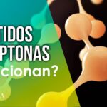 Diferencia entre péptidos y peptonas
