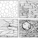 Diferencia entre petrografía y petrogénesis
