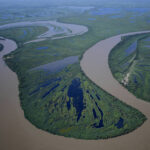 Diferencia entre río y arroyo