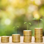 Diferencia entre riqueza y prosperidad