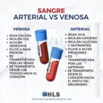 Diferencia entre sangre arterial y venosa