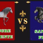 Diferencia entre sangre caliente y pura sangre