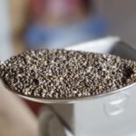 Diferencia entre semillas de chía blancas y negras