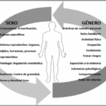 Diferencia entre sexo y género