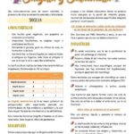 Diferencia entre Shigella y Salmonella