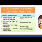 Diferencia entre sustantivo y pronombre