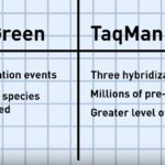Diferencia entre SYBR Green y Taqman