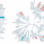 Diferencia entre taxonomía y ontología