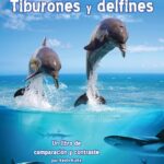 Diferencia entre tiburón y delfín