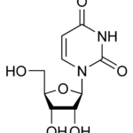 Diferencia entre uridina y uracilo