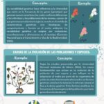 Diferencia entre variación genética y variación ambiental