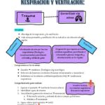 Diferencia entre ventilación y respiración