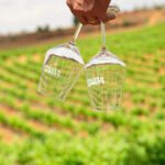 Diferencia entre viñedo y bodega