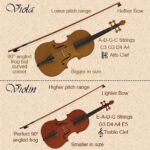Diferencia entre violín y violín