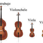 Diferencia entre violonchelo y contrabajo