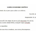 Diferentes tipos de redacción de informes