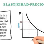Distinguir entre elasticidad precio y elasticidad ingreso de la demanda