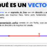 ¿Qué es un vector?