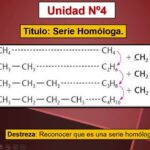 ¿Qué es una serie homóloga?
