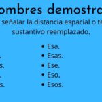 ¿Qué son los pronombres demostrativos?