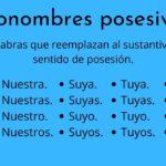 ¿Qué son los pronombres posesivos?
