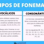 ¿Qué son los sonidos consonánticos?