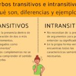 ¿Qué son los verbos intransitivos?