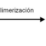 ¿Qué tipo de reacción química produce un polímero?