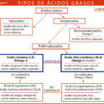 Diferencia entre los ácidos grasos esenciales y no esenciales