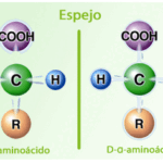 Diferencia entre los aminoácidos L y D