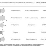 Diferencia entre los antibióticos betalactámicos y no betalactámicos