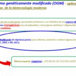 Diferencia entre transgénico y cisgénico