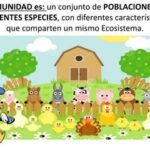 Diferencia entre población y comunidad