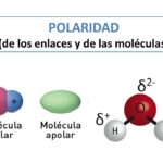 Diferencia entre polaridad de enlace y polaridad molecular