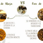Diferencia entre polen y néctar