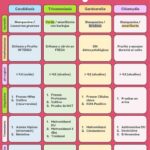 Diferencia entre Trichomonas y Gardnerella