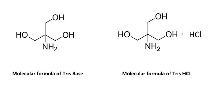 Diferencia entre Tris Base y Tris HCl