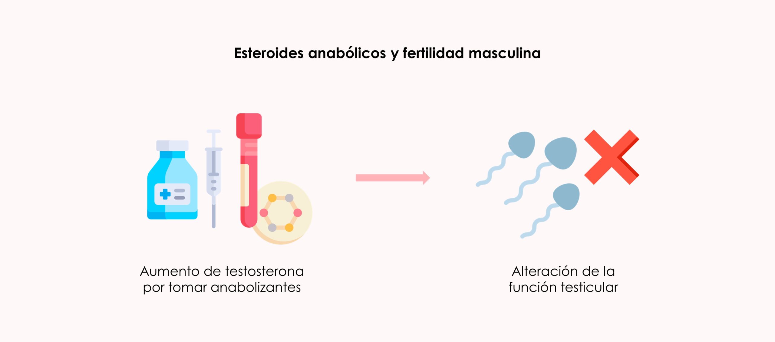 Diferencia entre los esteroides anabólicos y la testosterona