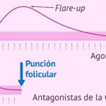 Diferencia entre un agonista y un antagonista de GnRH