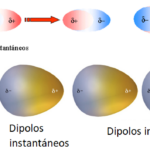 Diferencia entre un dipolo inducido y un dipolo permanente